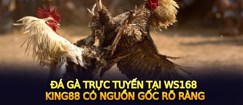 Đá Gà WS168 King88 – Chơi Cá Cược Online Đầy Kịch Tính