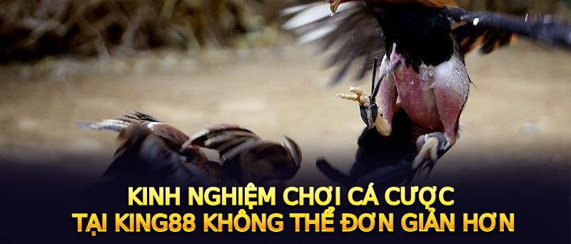 Kinh nghiệm chơi cá cược tại King88 không thể đơn giản hơn