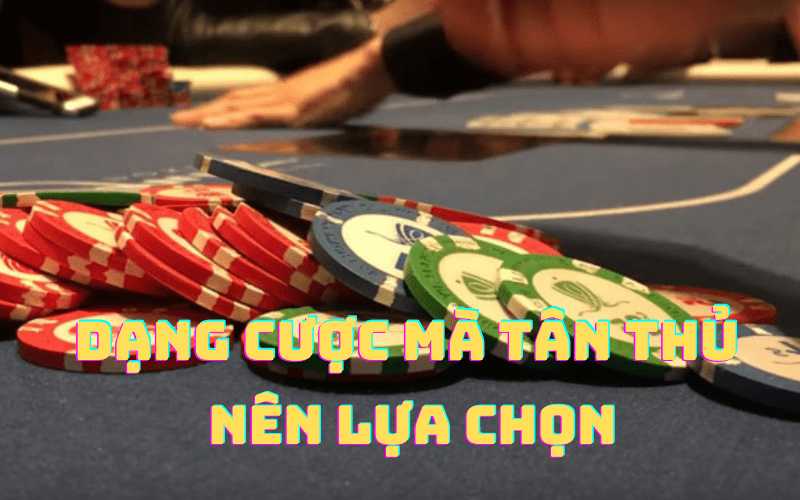 Các Dạng Cược Trong Poker Hấp Dẫn, Thú Vị Và Đa Dạng