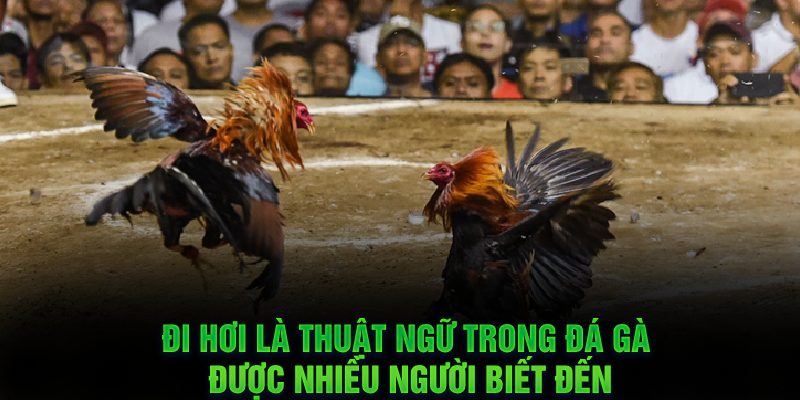 Quần sương là thuật ngữ được sử dụng phổ biến 