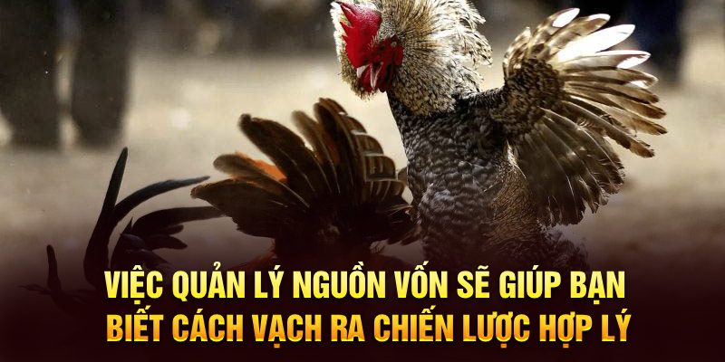 Việc quản lý nguồn vốn sẽ giúp bạn biết cách vạch ra chiến lược hợp lý